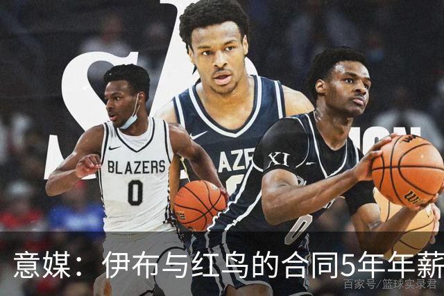 意媒：伊布与红鸟的合同5年年薪100万欧，职责除了竞技还涉及商业